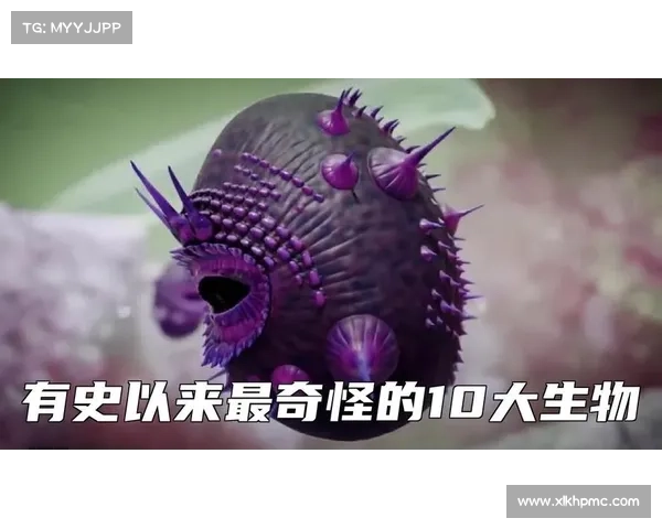 古老世界神秘生物十大探寻之旅揭开历史的迷雾与未知的面纱 古老世界神秘生物十大探寻之旅揭开历史的迷雾与未知的面纱