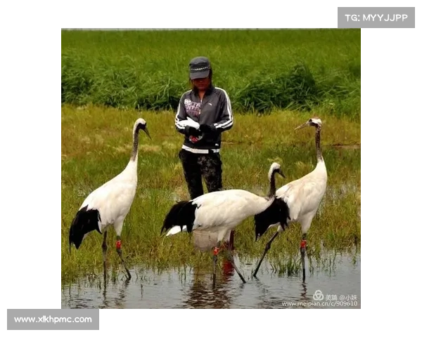 探访潘达利亚的神秘世界:五个你必须知道的真实故事 探访潘达利亚的神秘世界:五个你必须知道的真实故事