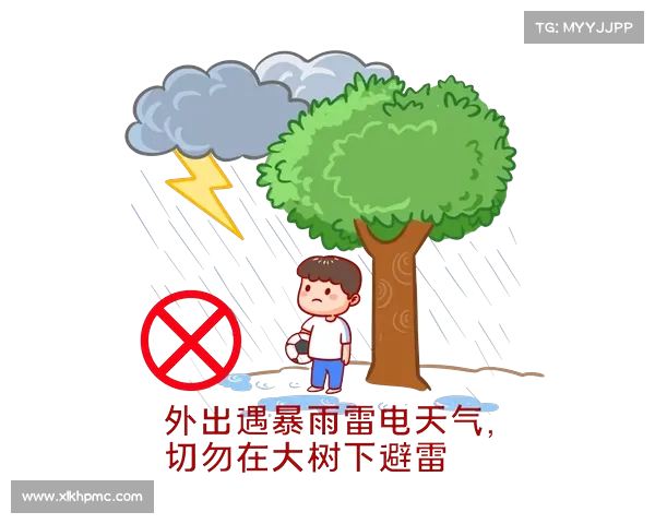 学会科学避雷掌握安全知识有效防范雷电伤害保障生命安全 学会科学避雷掌握安全知识有效防范雷电伤害保障生命安全