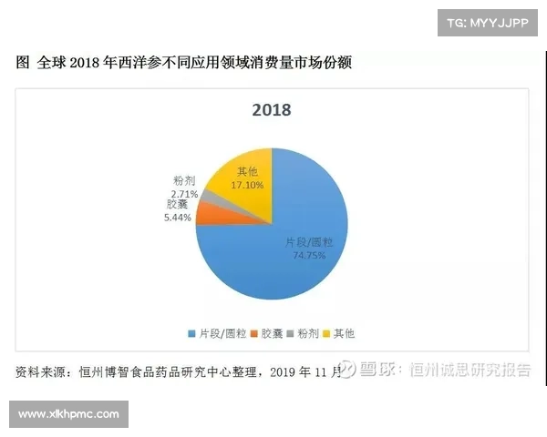 全面解析洛塞尔索技术特点与场上作用及未来发展深度总结趋势分析报告